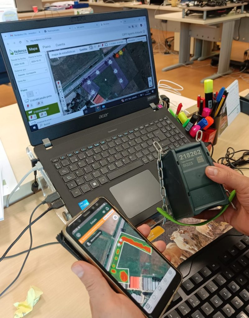 Belar-altuerako sentsoreen bidezko bazka eta ganaduan itxitura birtualeko lepokoak erabiltzea