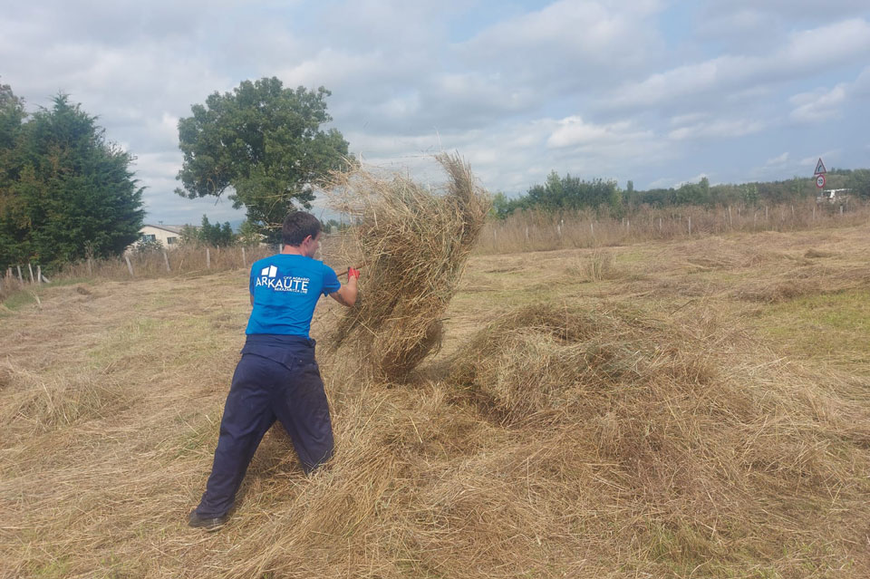 produccion_agroecologica-cifp_agrario_arkaute-10