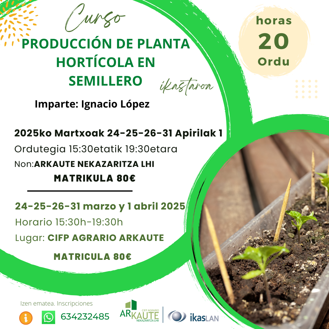 produccion de planta horticola en semillero