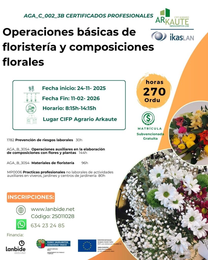 Ziurtagiri profesionala