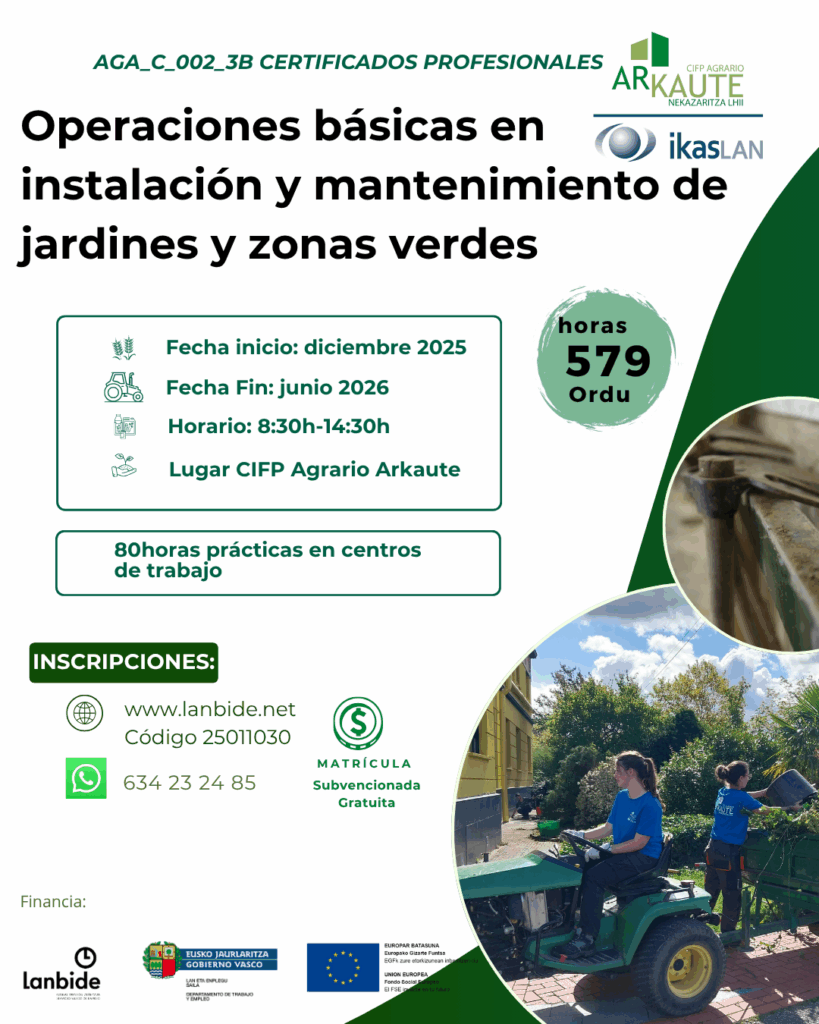 Ziurtagiri Profesionala